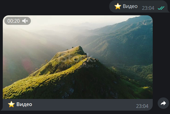 Бот скидывает видео Бот скидывает видео